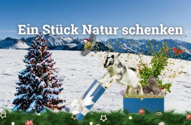 Weihnachtsaktion Weihnachtsaktion