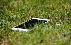 Citizen Science, © pixabay | LYRL Citizen Science, © pixabay | LYRL