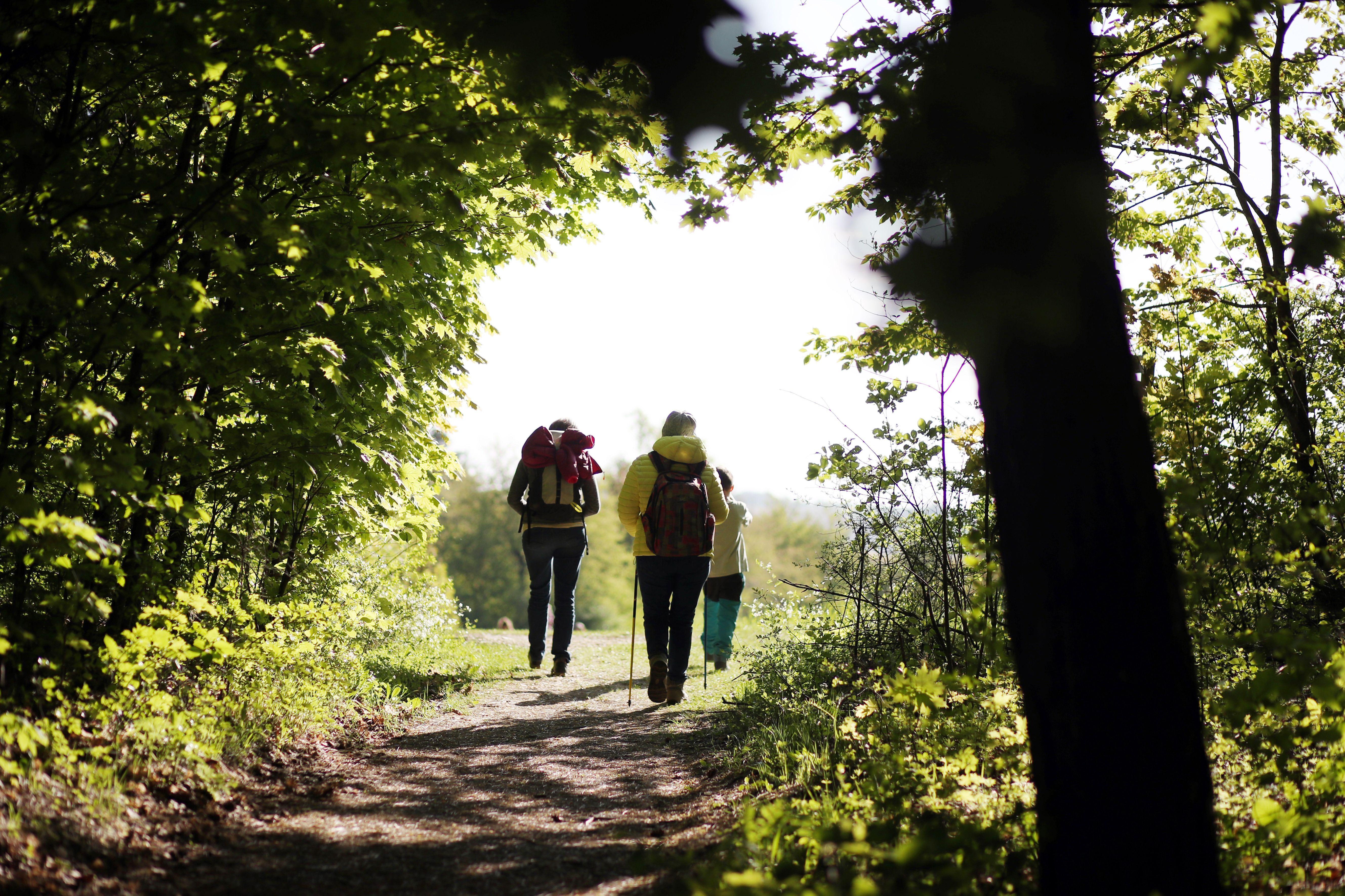 Familienwanderung auf dem Buschberg