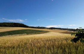 Wandern, © Leiser Berge