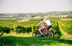 Unterwegs am Weinradweg Sylvaner, &copy; POV / Robert Herbst