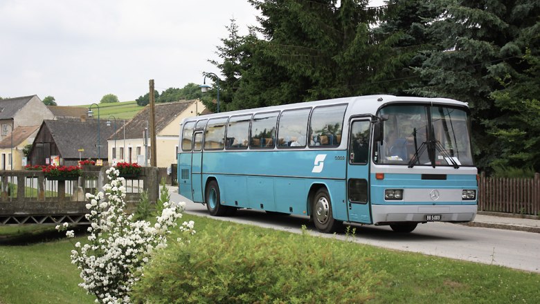 A blue bus drives through a village with flowers and trees in the background.