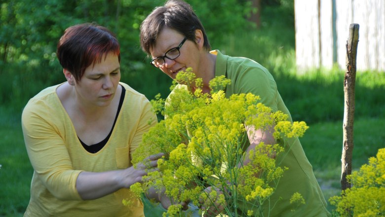 Two people examine yellow dye plants outdoors.