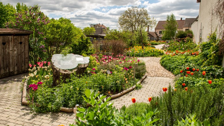 A well-tended garden with colorful flowers, a curved path and a tree stump with an information board.
