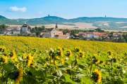 Die Marktgemeinde Ernstbrunn, im Hintergrund Oberleiser Berg und Buschberg, © Fotoclub Ernstbrunn | Hans Gumpinger