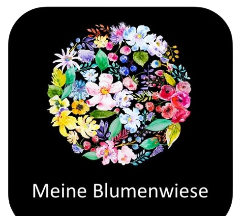 Meine Blumenwiese