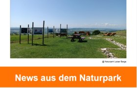 Newsletter 2025-05