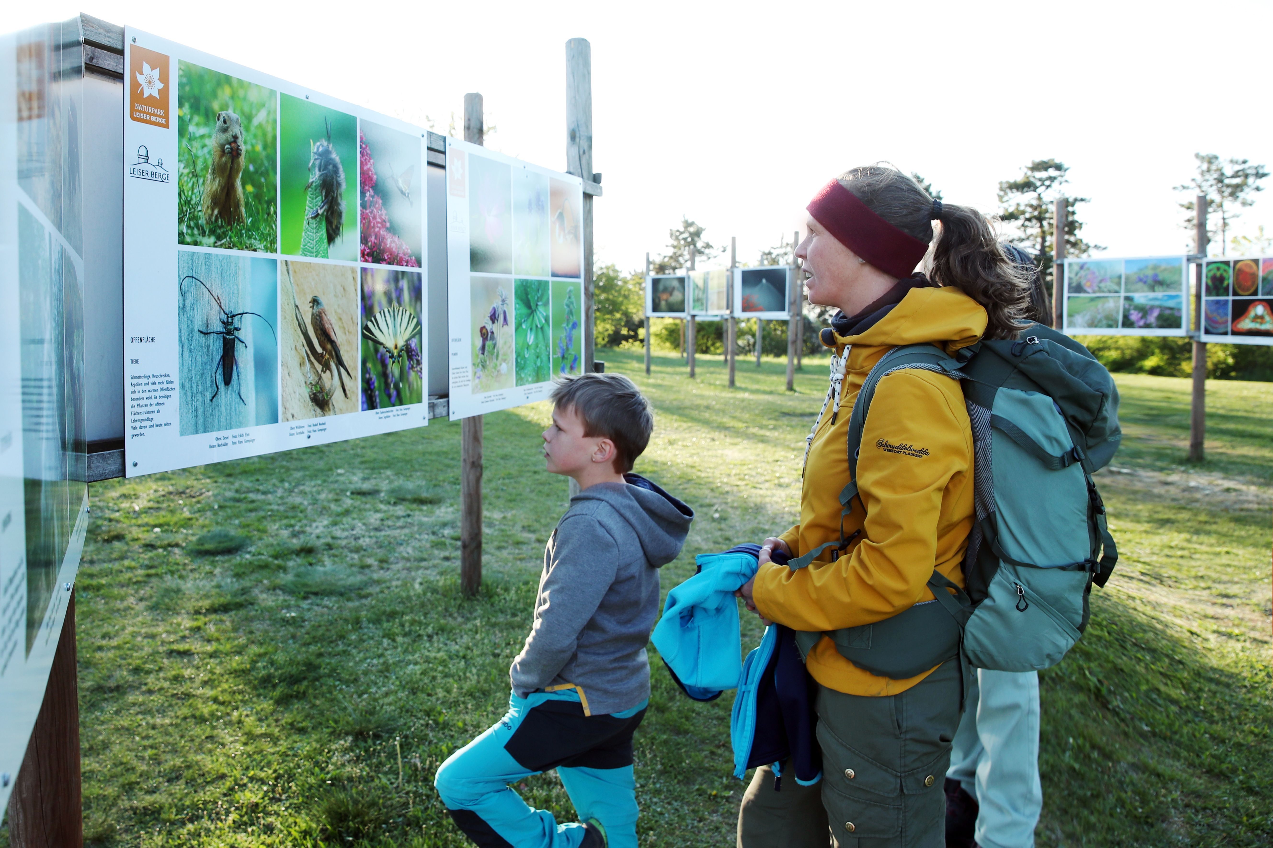 Besichtigung der Fototafeln am Oberleiserberg