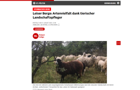 NÖN Korneuburg Steinbacher Heide