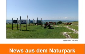 Newsletter 2025-05
