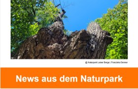 Newsletter August 2025-Bild
