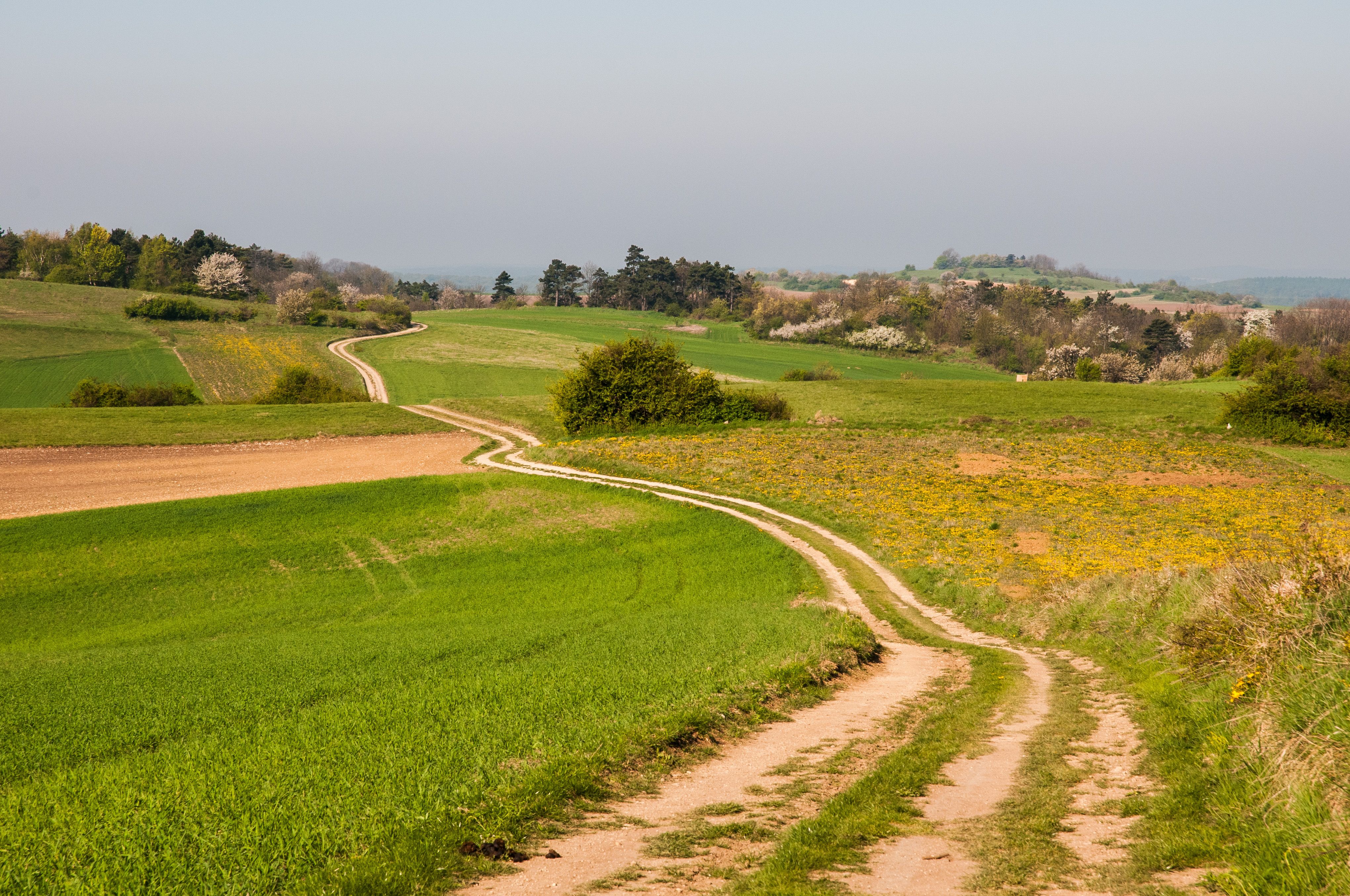 Weg durch den Naturpark