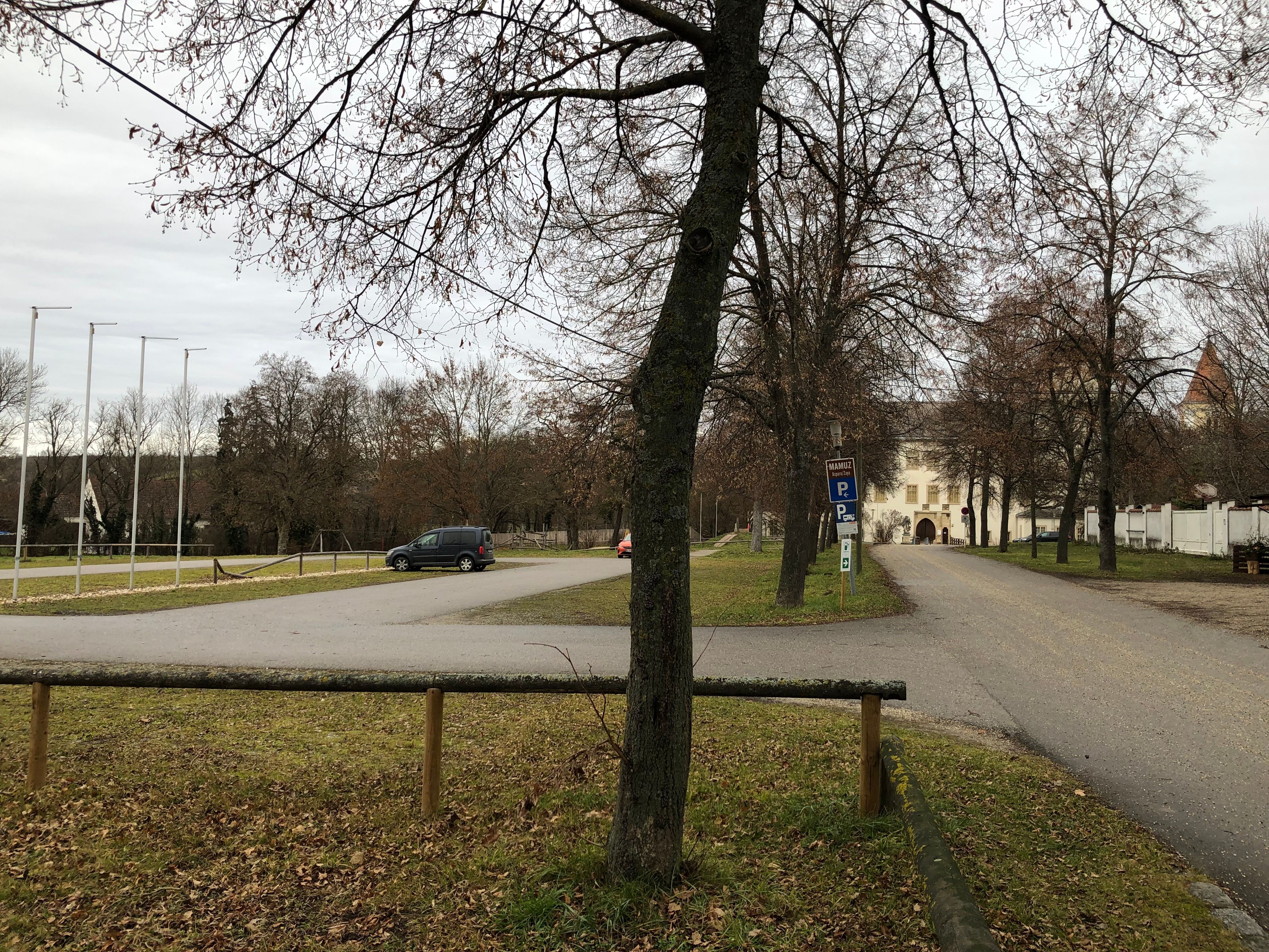 Parking lot with trees and a building in the background.