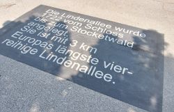 Beschreibung der Lindenallee auf Parkplatz