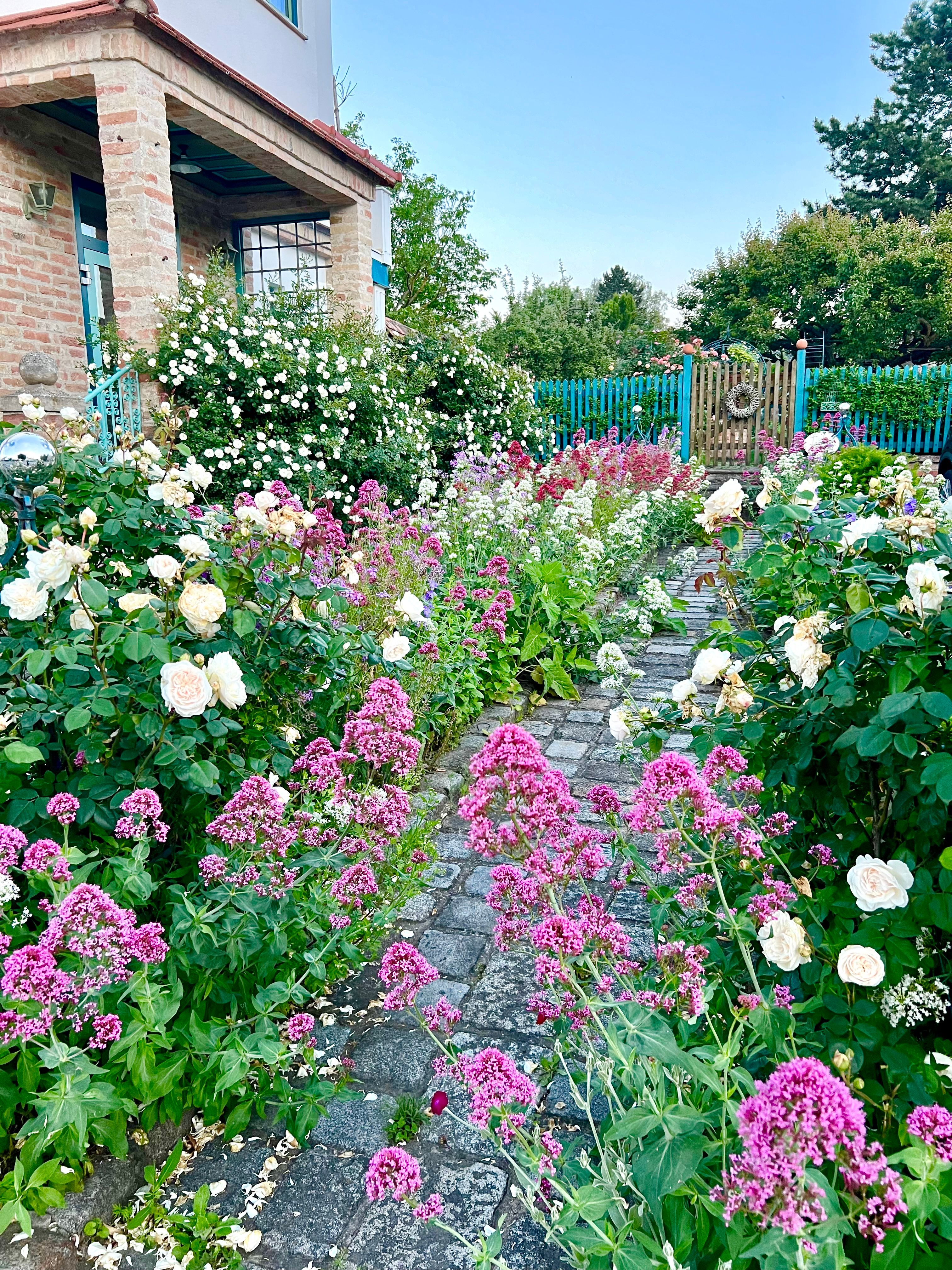 Genießen Sie die Natur im Garten