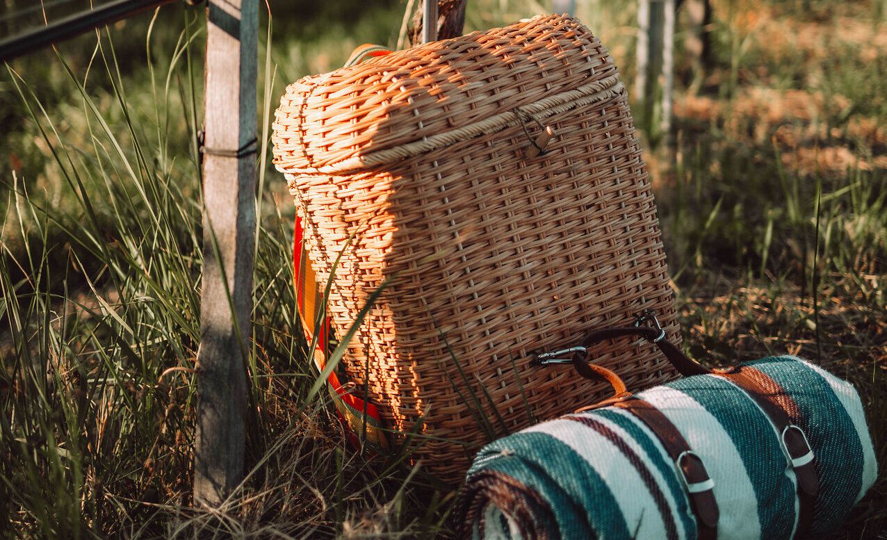 Ein Picknick-Rucksack lehnt entspannt an einem Weinstock, umgeben von der sanften Schönheit der Weinberge. Die warmen Sonnenstrahlen tauchen die Landschaft in ein goldenes Licht und laden dazu ein, die köstlichen Weine der Region zu genießen. Hier in der Wachau, wo die Donau sanft fließt, wird jeder Moment zum unvergesslichen Erlebnis.