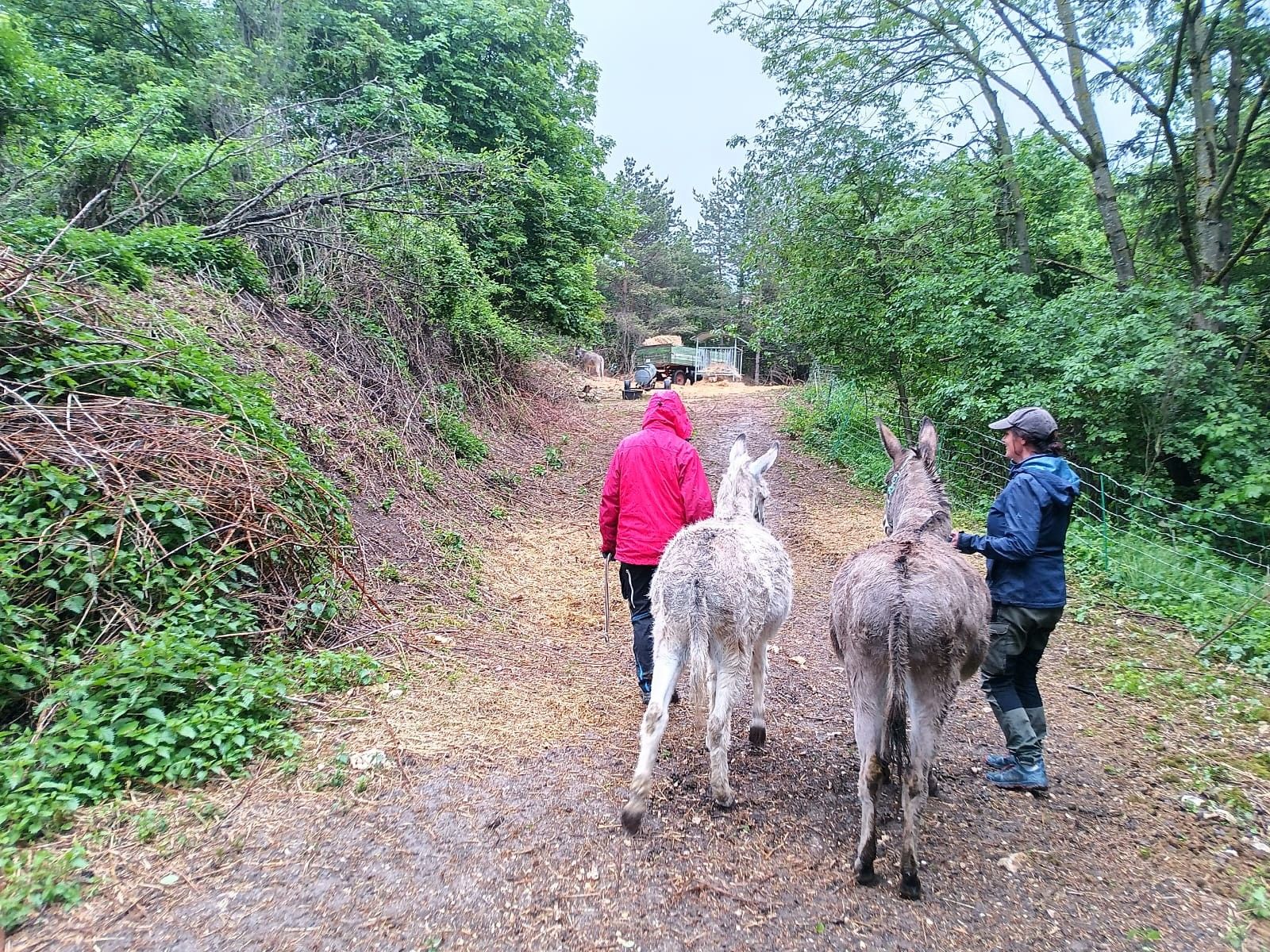 Zwei Menschen und zwei Esel