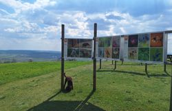 Fototafeln am Oberleiserberg mit Fokus Tiere im Naturpark