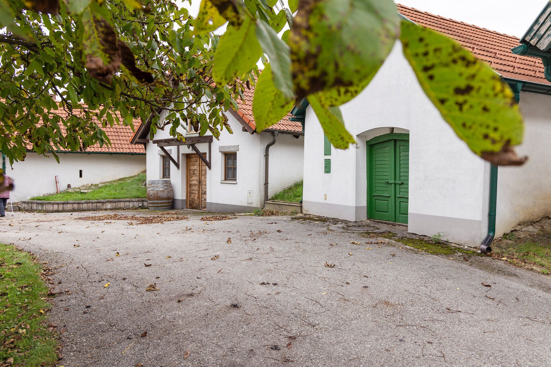 Weinkeller in der Kellergasse Arbesthal. 
