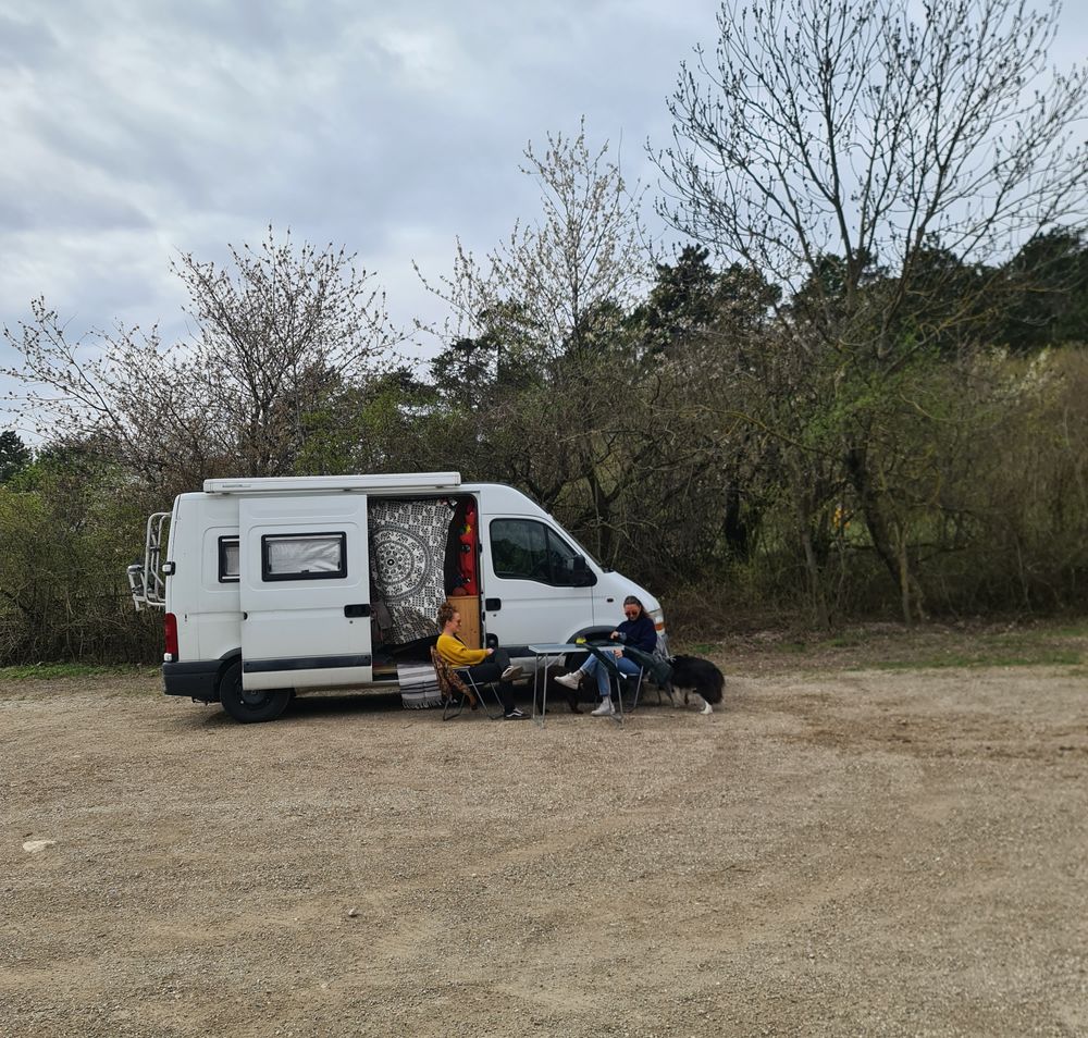 2 Damen mit Hunden vor Campingbus am Buschbergparkplatz. Im Hintergrund Wald.