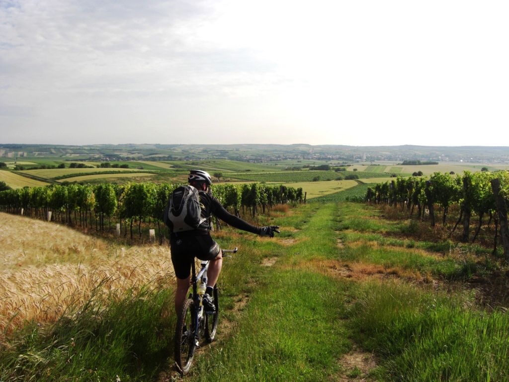Ein Mountainbiker ist im Naturpark unterwegs 