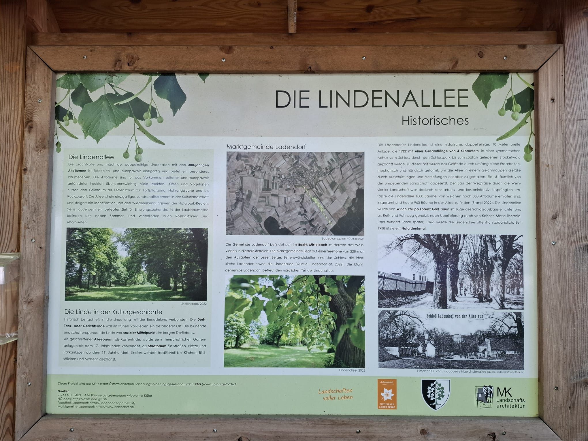 Infotafel in der Lindenallee