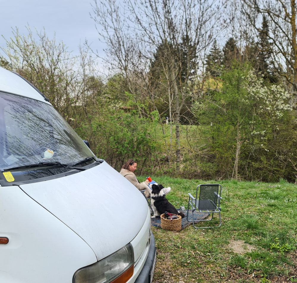 Ausschnitt eines weißen Campingbusses mit sitzender Dame und Hund auf grüner Wiese