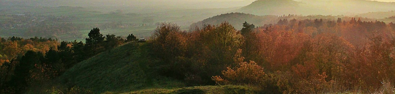 Goldener Herbst, &copy; Weinviertel Tourismus