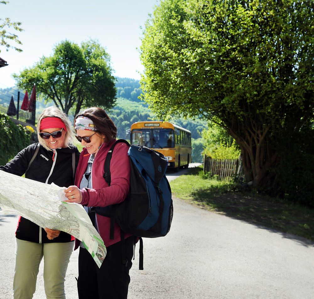 Zwei Wanderer stehen lächelnd am Wegesrand und studieren eine Karte, um ihre nächste Etappe zu planen. Umgeben von blühenden Birnbäumen und der sanften Hügellandschaft des Mostviertels, strahlt die Szene eine einladende und fröhliche Atmosphäre aus. Der Tag des Mostes verspricht nicht nur kulinarische Genüsse, sondern auch unvergessliche Erlebnisse in der Natur.