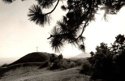 Blick auf Buschberggipfel, ca. 1970