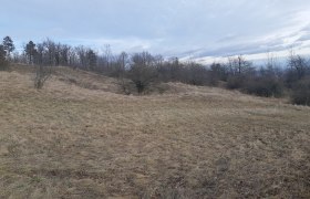 Steinbacher Heide, &copy; Naturpark Leiser Berge