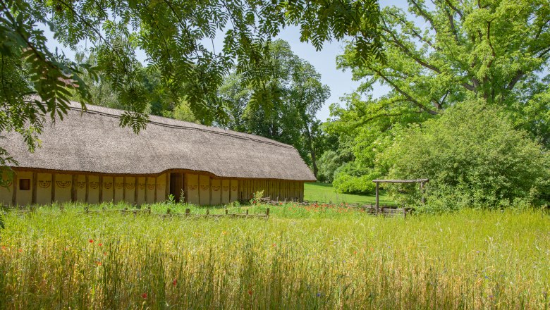 Thatched building in the countryside with trees and meadow.