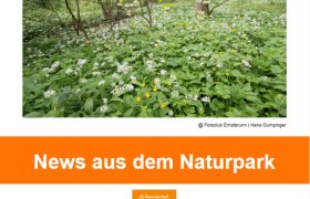 Newsletter April25-bild