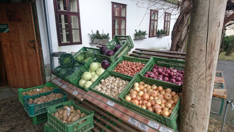 Gemüsestand mit verschiedenen Sorten von Kohl, Zwiebeln und Kartoffeln in grünen Kisten vor einem Gebäude.
