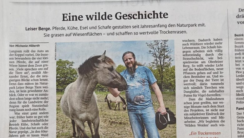 Kurier, Eine wilde Geschichte