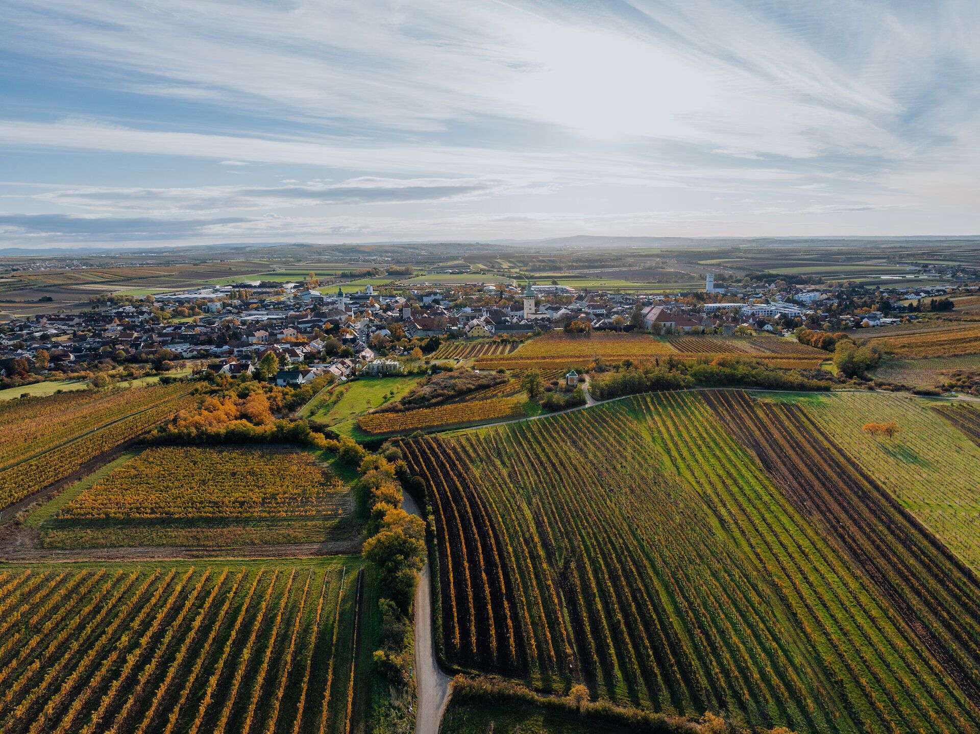 Über herbstlich gefärbte Weingärten fällt der Blick auf die im Hintergrund liegende Weinstadt Retz mit ihrem beeindruckenden Rathausturm.