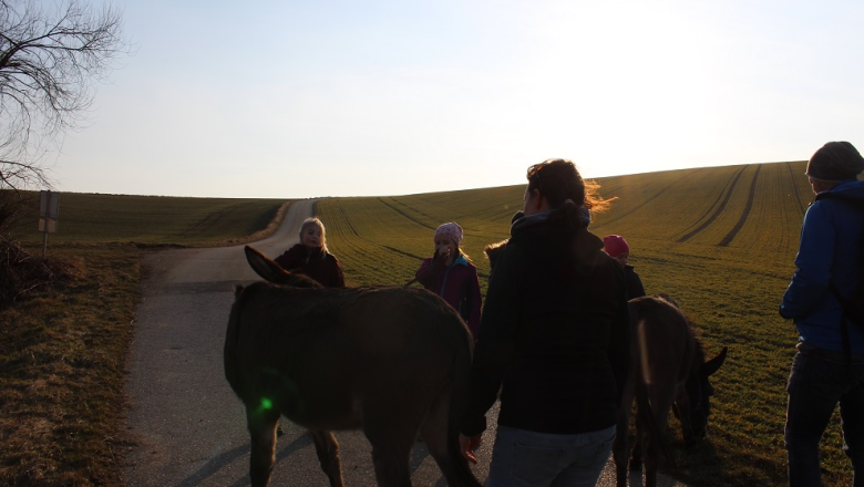 Esel- und Ponywanderung, © Petra Krejci