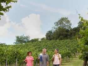 Pilgrimage through the vineyards, &copy; Weinviertel Tourismus / Lahofer