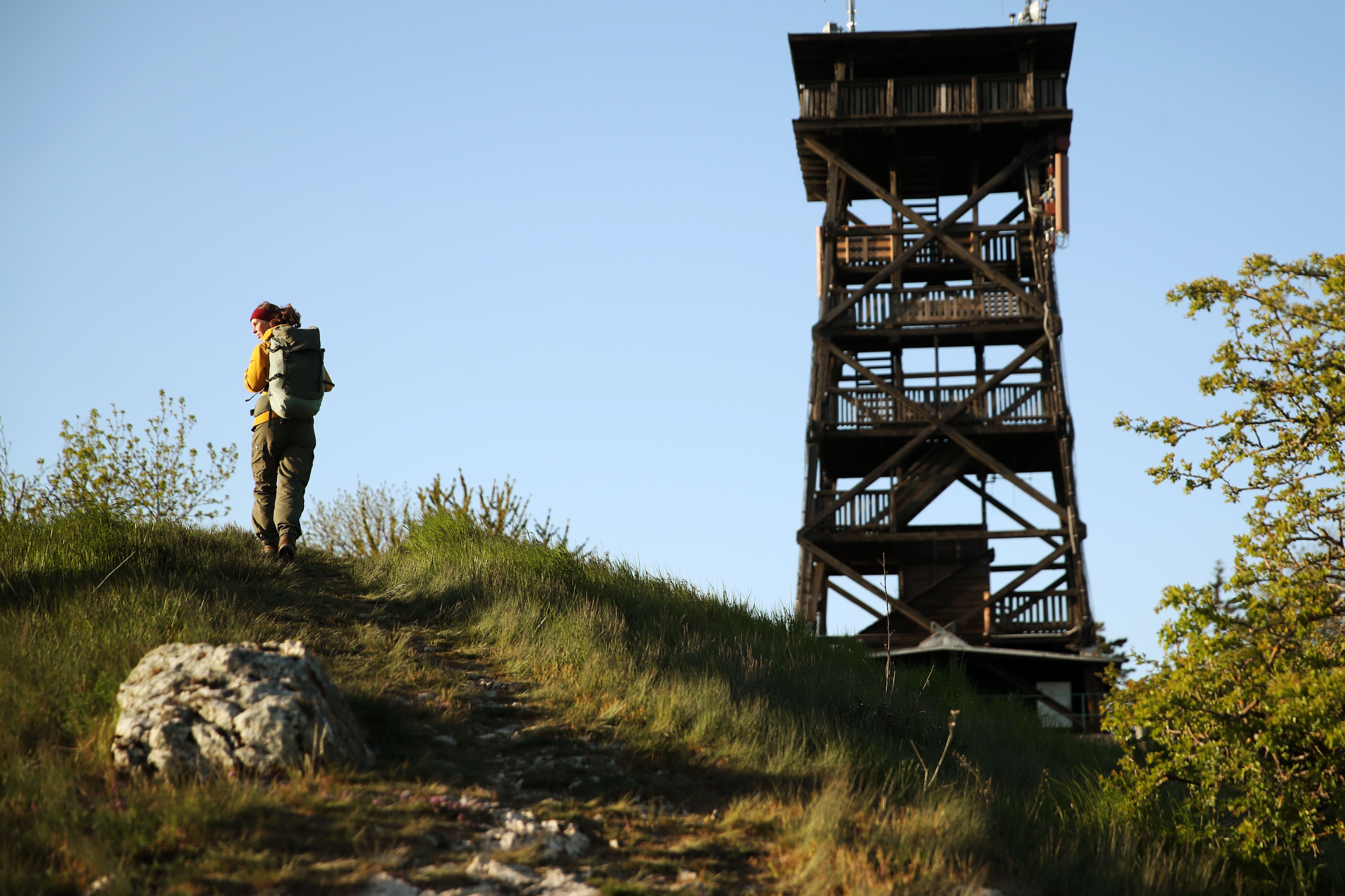 Wanderung auf dem Oberleiser Berg mit Blick zur Aussichtswarte