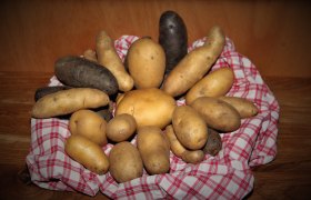 Familie Popp, © Popp