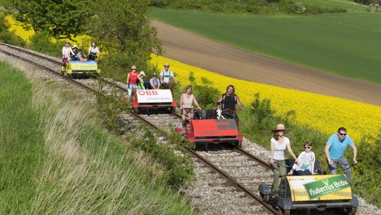 People ride on trolleys through a rural landscape with yellow rapeseed fields.