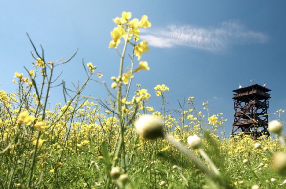 Aussichtsturm, © Leiser Berge