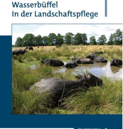 Wasserb&uuml;ffel in der Landschaftspflege