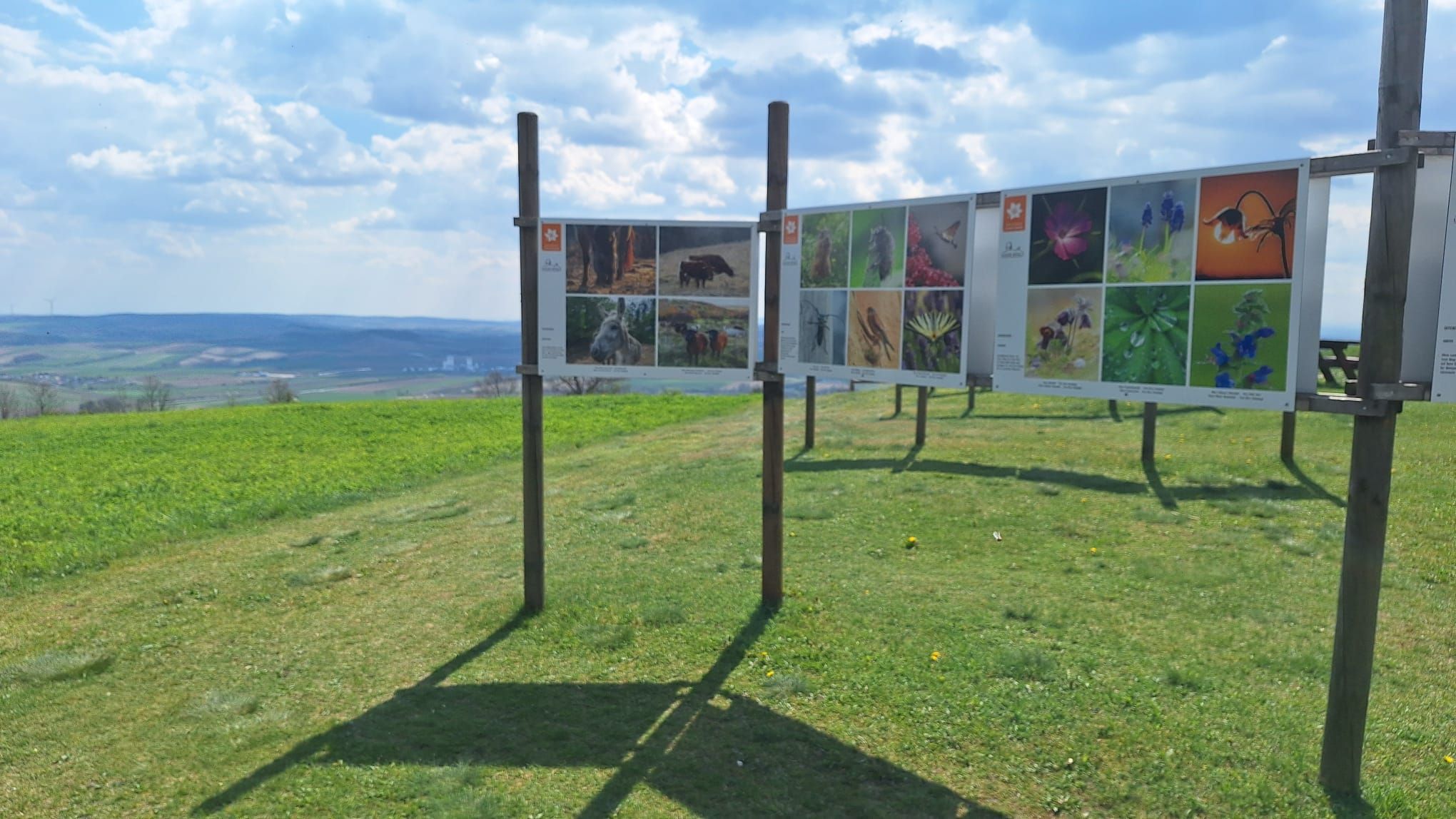 Fototafeln der Freiluft Fotoausstellung Oberleiserberg 
