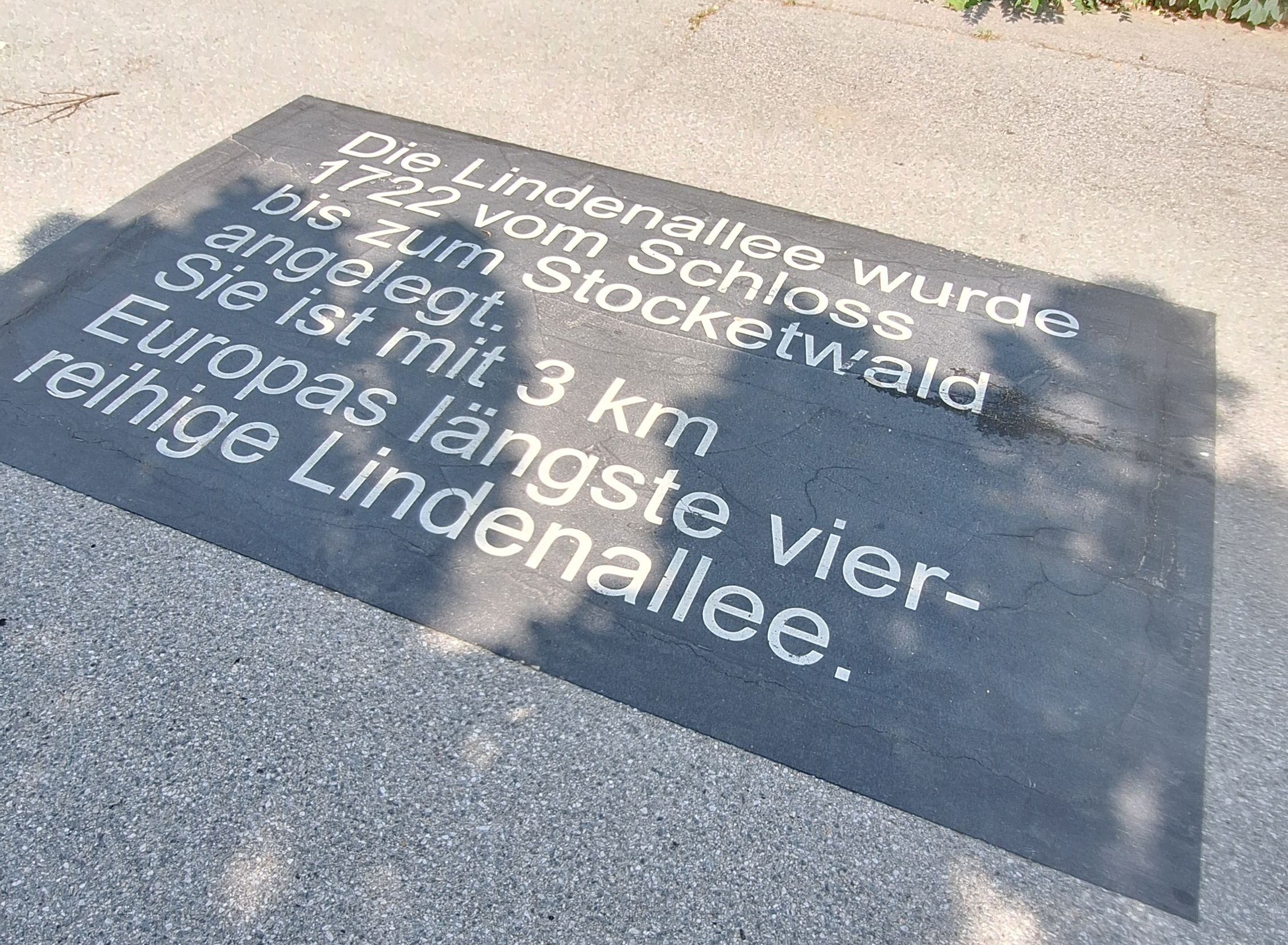 Beschreibung der Lindenallee auf Parkplatz