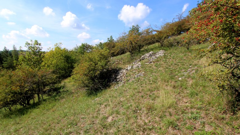 Buschberg bei Au, © Manuel Denner