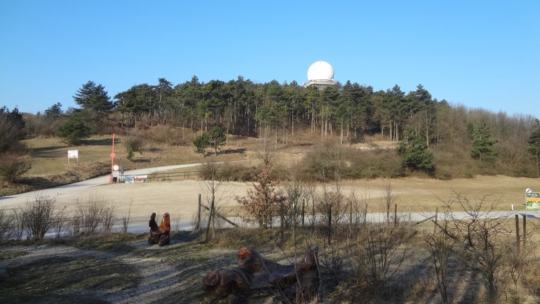 Landschaft mit Hügel, Wald und Radarkuppel auf dem Buschberg.