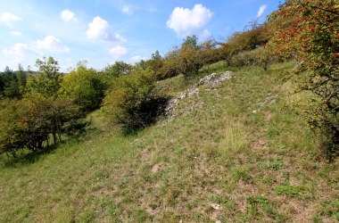 Buschberg bei Au, © Manuel Denner