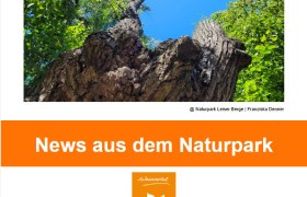 Newsletter August 2025-Bild