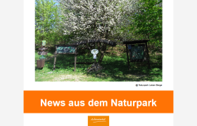 Newsletter März 2025